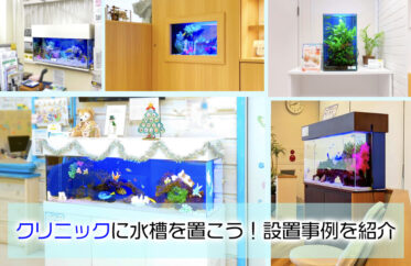 クリニックに水槽を置こう！設置事例の紹介
