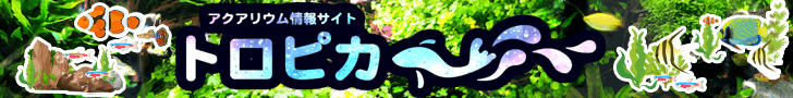 トロピカ