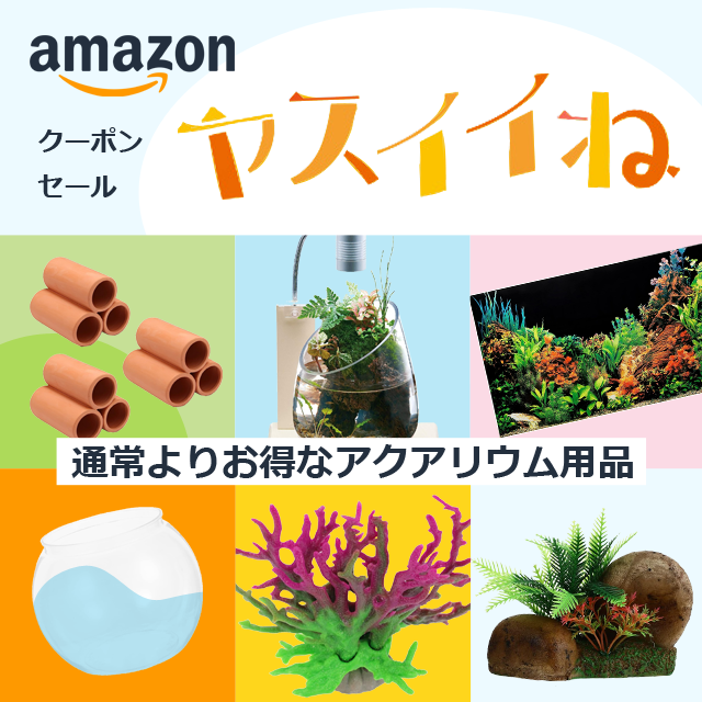 Amazon ヤスいいね