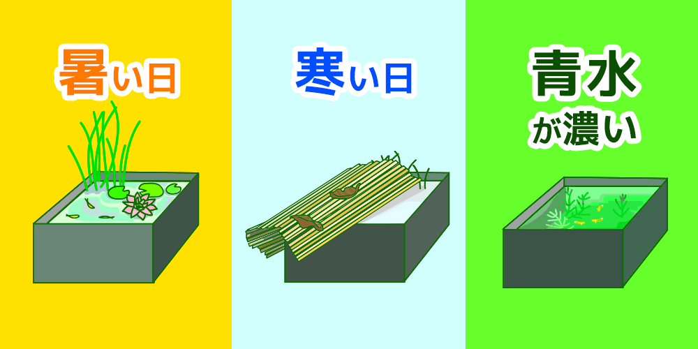 ビオトープ 管理方法