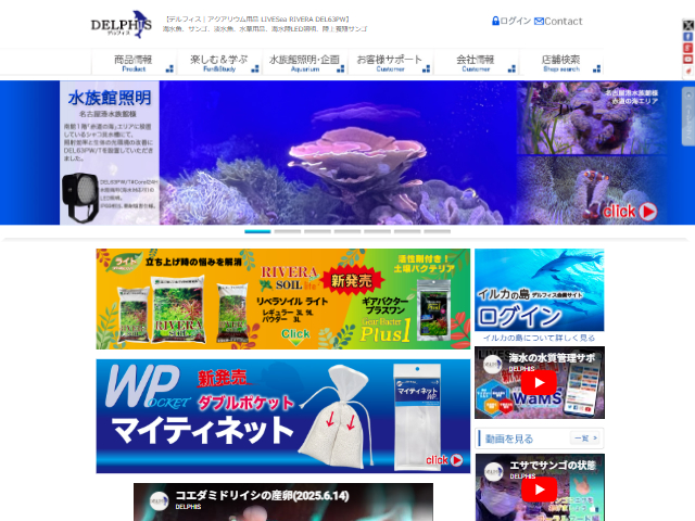 デルフィス ホームページ
