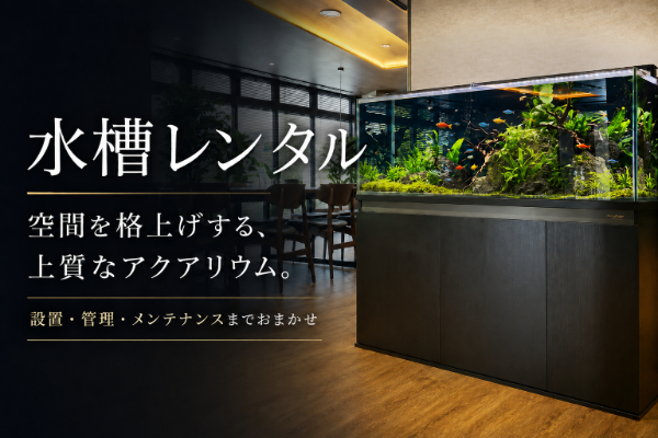水槽レンタル