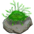 水草の管理方法とは
