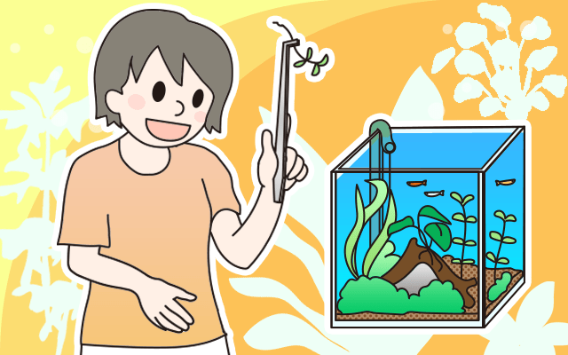 水草とは