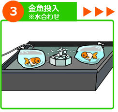 屋外金魚水槽 設置ステップ3