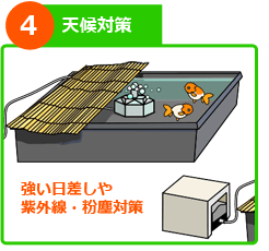 屋外金魚水槽 設置ステップ4