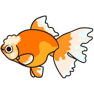 オランダ獅子頭 金魚の飼い方