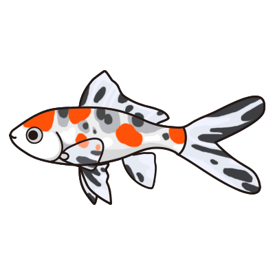 朱文金 金魚の飼い方