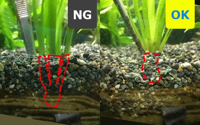 水草の植え方4