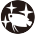 熱帯魚の病気対策