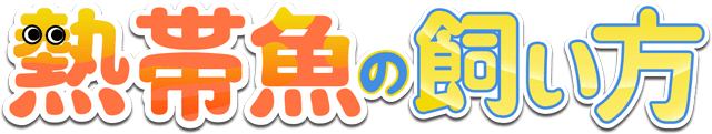 熱帯魚の飼い方