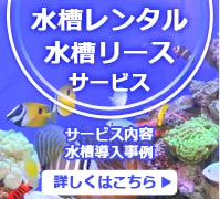水槽レンタルサービス・水槽リースサービス