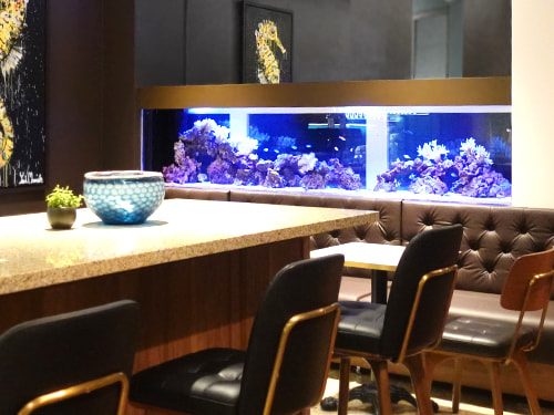 東京アクアガーデン2023年
