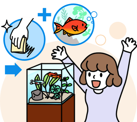 水槽レンタルサービス