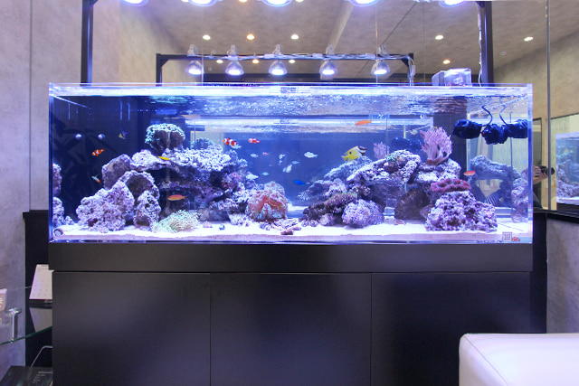 150cm海水魚水槽 レンタル リース 料金