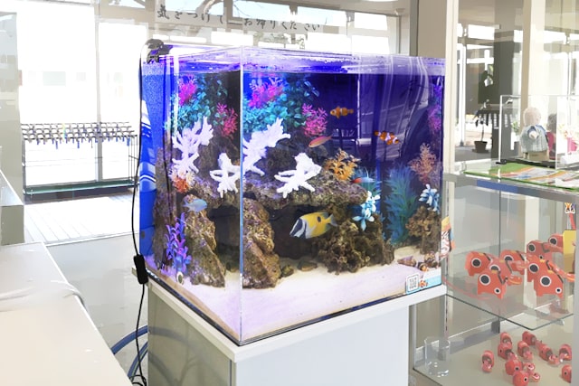 45cm海水魚水槽 レンタル リース 料金