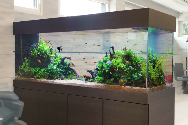 150cm淡水魚水槽 レンタル リース 料金