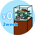 無料お試し