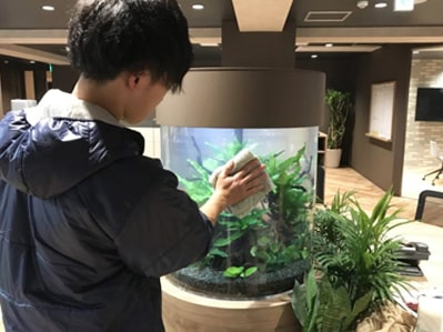 水槽定期メンテナンスサービス