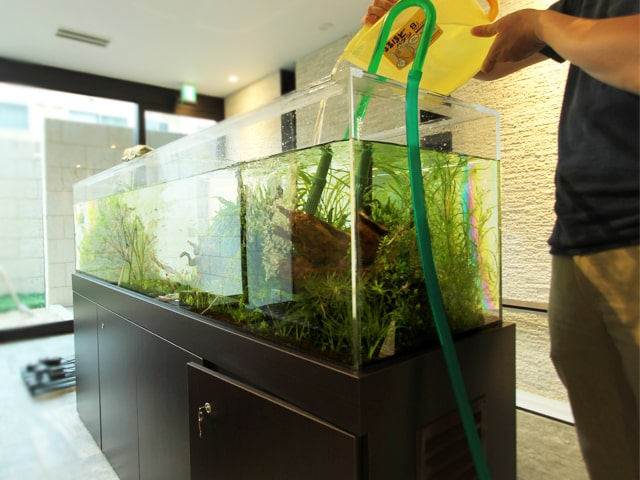 水槽販売サービス 設置後の定期水槽メンテナンス