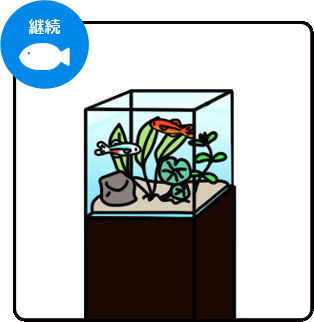2週間無料お試し水槽レンタル 継続