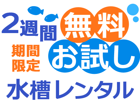 2週間無料お試し水槽レンタルキャンペーン