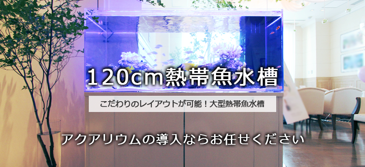 120cm水槽レンタル・リースサービス