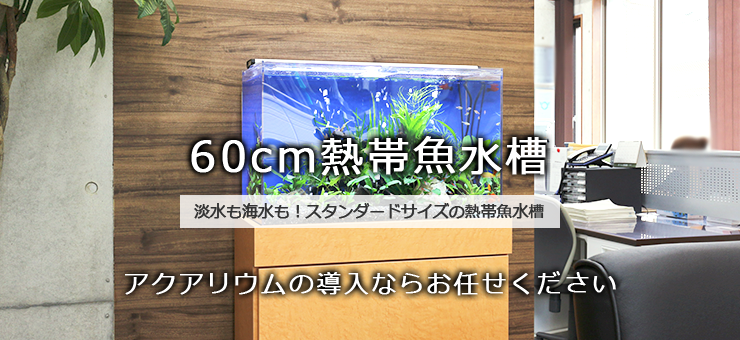 60cm水槽レンタル・リースサービス