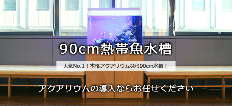 90cm水槽レンタル・リースサービス