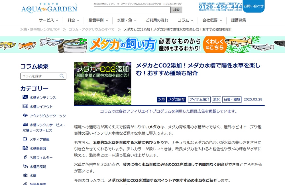 専門情報のメディア発信