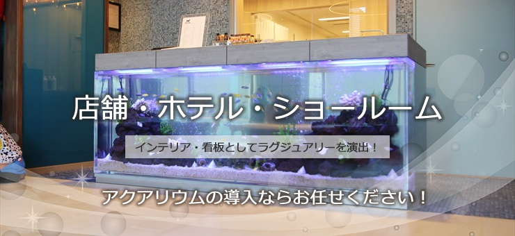 店舗・ホテル・ショールームの水槽レンタル・リースサービス