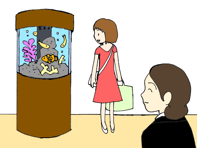 店舗 ホテル 水槽レンタル 設置