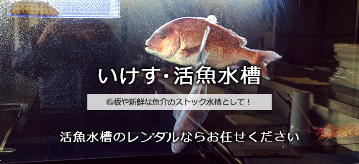 いけす、活魚水槽のレンタル・リースサービス