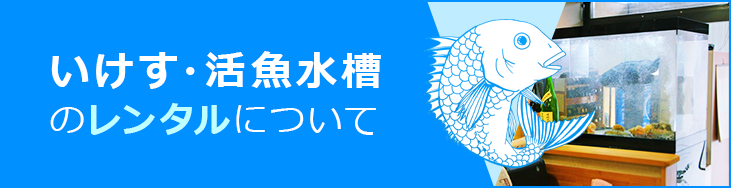 活魚水槽 いけす 水槽レンタルについて