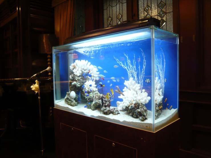 アクアリウムで結婚式会場を演出