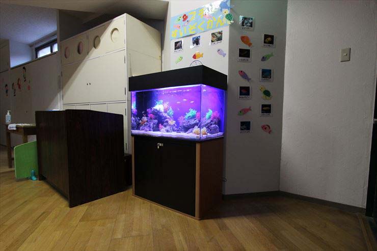 幼稚園 保育園 水槽レンタル ホール