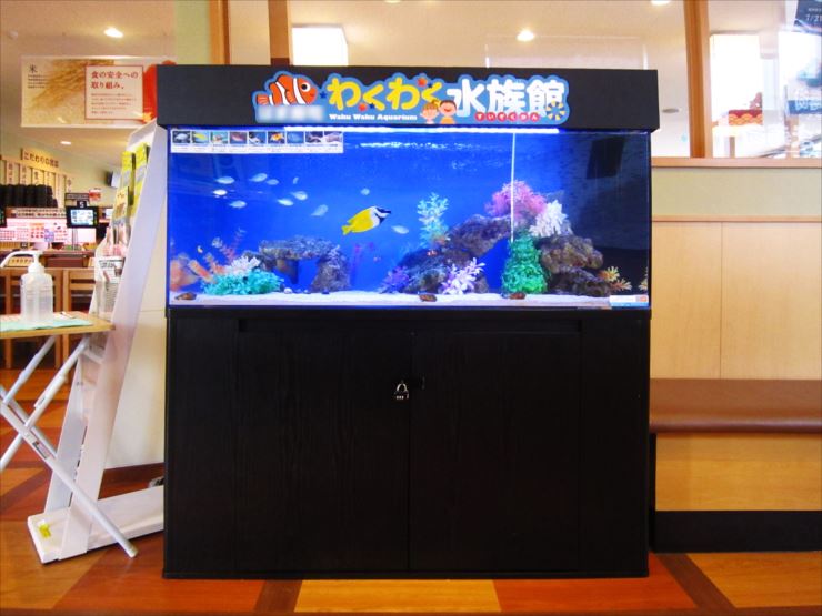 飲食店 水槽 レンタル 料金