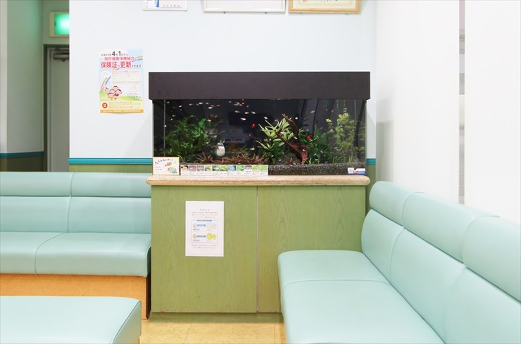 薬局 水槽レンタル 水槽設置事例２