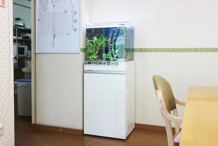 介護施設 老人ホーム 水槽 食堂