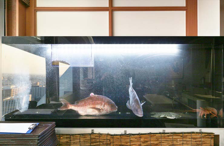 活魚水槽 いけす 水槽レンタル メリット