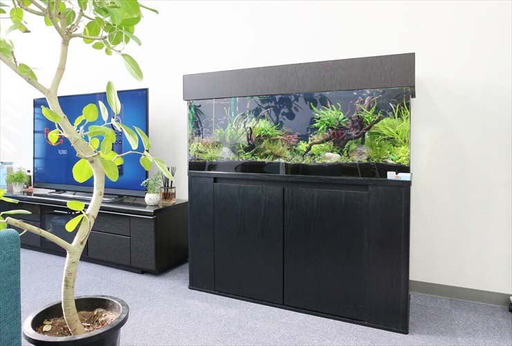水槽レンタル 水槽設置