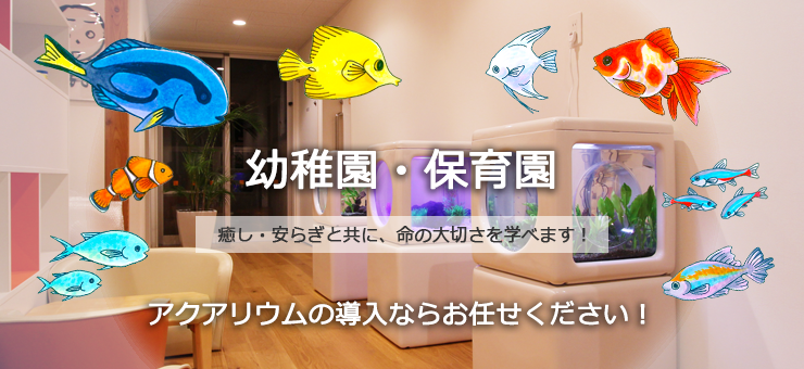 幼稚園、保育園の水槽レンタル・リースサービス