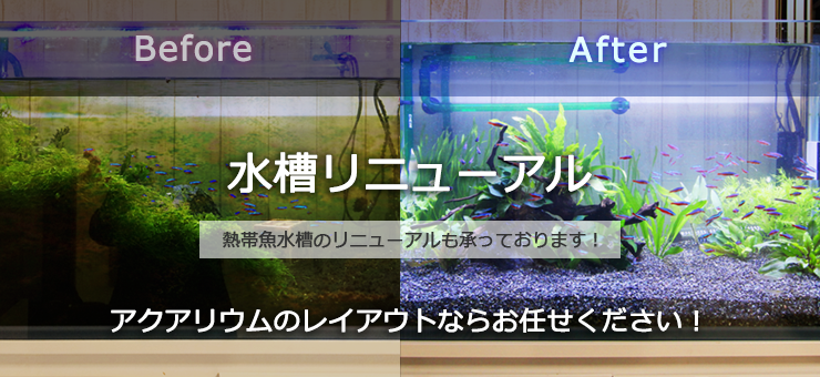 水槽リニューアルサービス