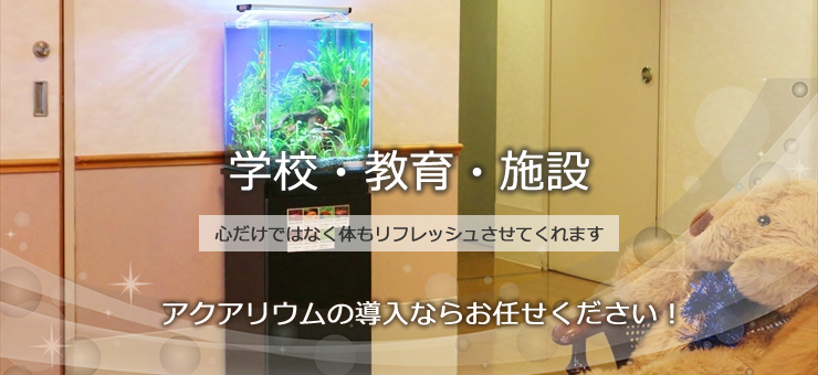 学校、教育機関、施設の水槽レンタル・リースサービス