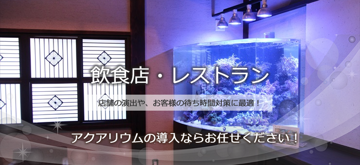 飲食店の水槽レンタル、リースサービス