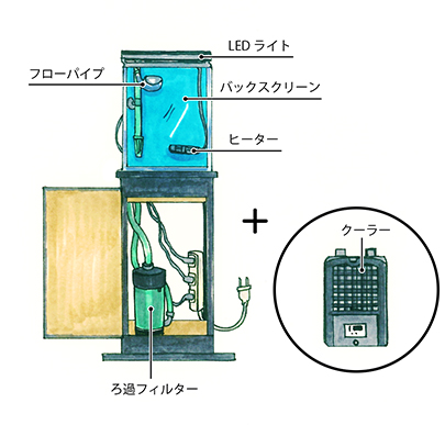 小型水槽の機材選定