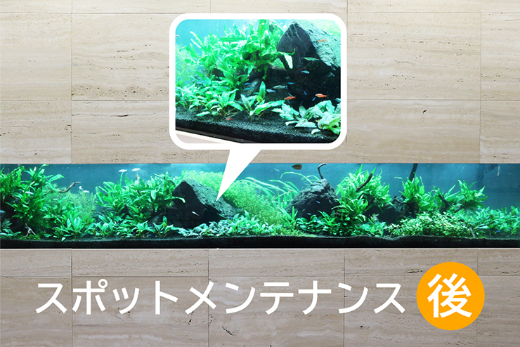スポットメンテナンス アフター