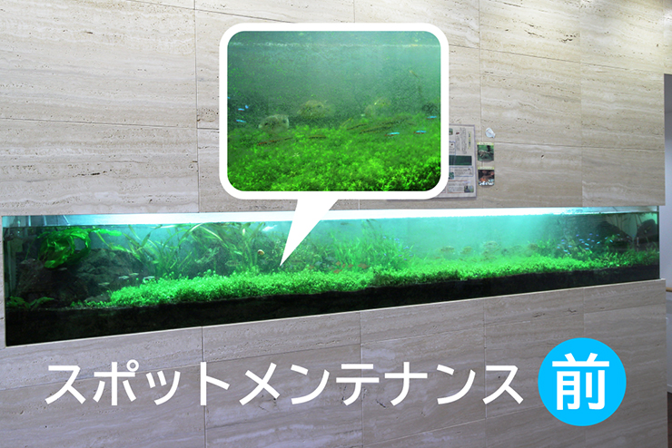 スポットメンテナンス ビフォー