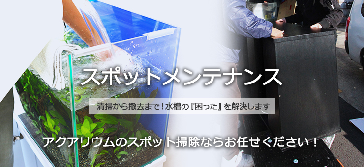 水槽スポットメンテナンスサービス 水槽掃除サービス