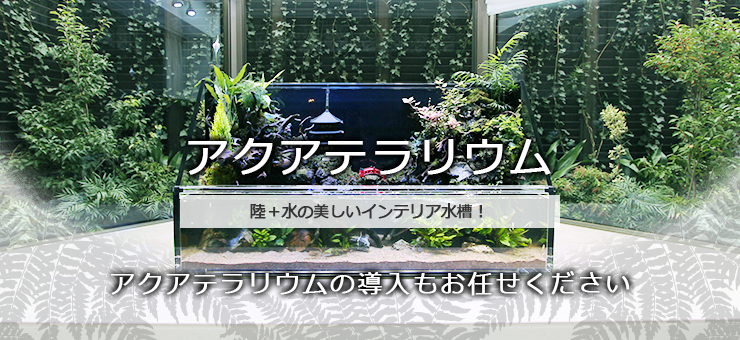 アクアテラリウム水槽レンタル・リースサービス アクアテラリウム水槽レンタル・リースサービス